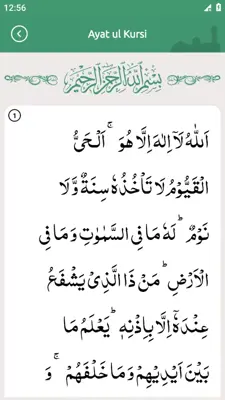 Surah Yaseen(سورة يس) android App screenshot 9