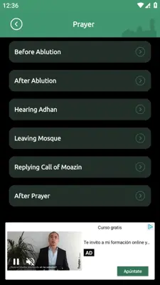 Surah Yaseen(سورة يس) android App screenshot 5